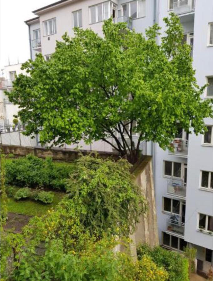 Old Town Apartment Pellicova Μπρνο Εξωτερικό φωτογραφία